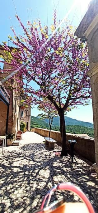 הוילה Casperia Relax Nell' Antico Borgo מראה חיצוני תמונה